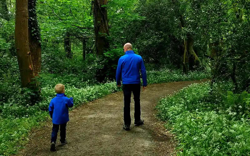 ballyseedy woods walking