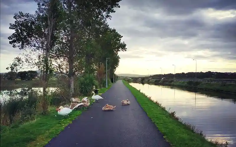 tralee canal bank walk